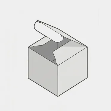 Folding box packaging illustration for silk product shipping