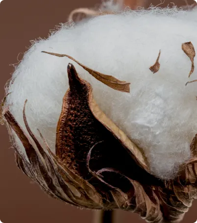 Materials & Components