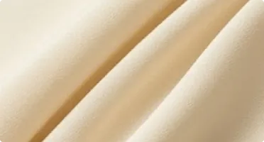 Ivory / Champagne Silk Georgette