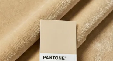 Custom Pantone Dyed Silk Velvet
