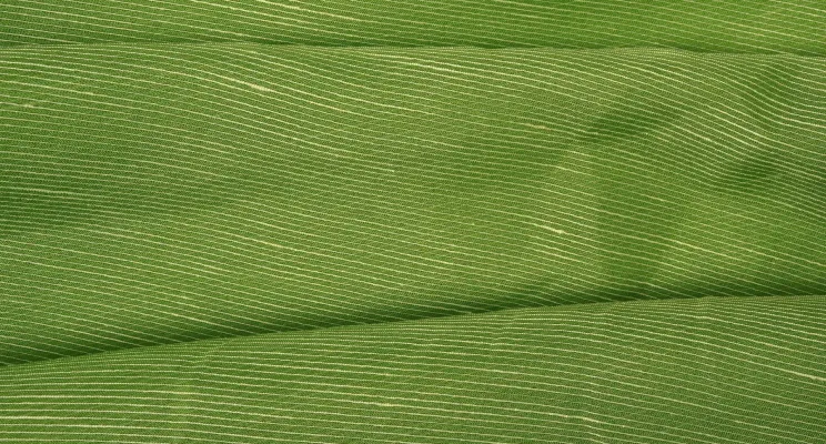 Sage green silk linen fabric close-up